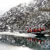 Glacier excursion